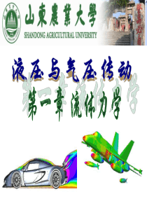 第一章流体力学