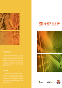 XXXX中国光伏产业发展报告