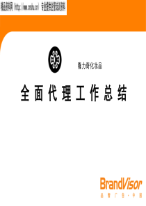 隆力奇化妆品全面代理工作总结