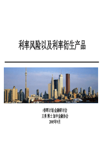 利率风险以及利率衍生产品(王勇)