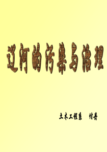 辽河的污染与治理