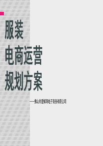 服装电商运营规划方案PPT精品文档33页