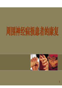 桡神经损伤讲解
