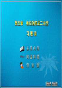 5-习题课同济大学-线性代数-第五章