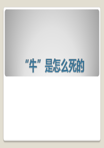 牛是怎么死的