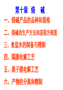 8.第十章---烧碱解析