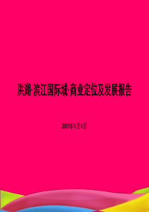 XXXX洪湖滨江国际城商业定位及发展报告1030572062
