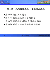 厦门大学风险管理第八章风险管理工具