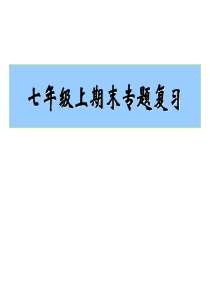 七年级上册数学期末专题复习