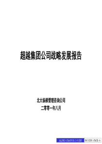 XX公司战略发展报告