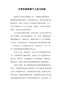 大学生财政局个人实习总结