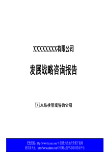 XX有限公司发展战略咨询报告（推荐PPT256）