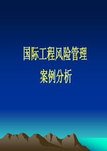 国际工程风险管理案例分析