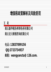 增值税政策解析及风险防范(王炎)