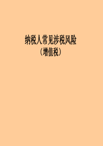 增值税风险(纳税人)(2)