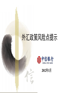 外汇政策风险点提示XXXX113