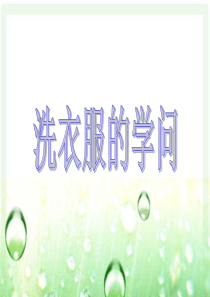 《4.--洗衣服的学问》课件2最新