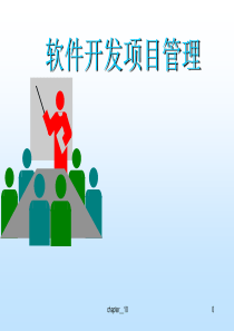 10软件项目风险管理计划