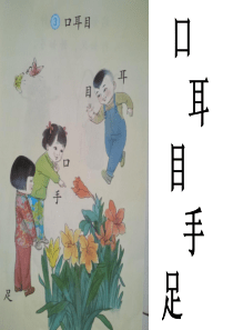 识字3口耳目(部编版)