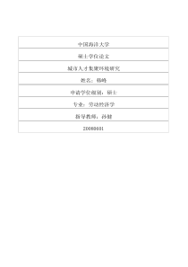 城市人才集聚环境研究
