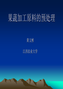 果蔬加工预处理