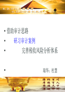 完善税收风险分析体系