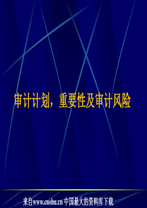 审计计划，重要性及审计风险（PPT 45页）agr