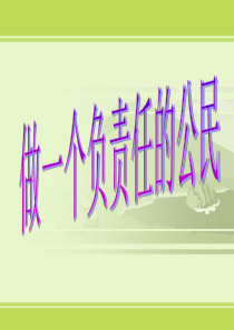2.3负责任的公民课件人教版