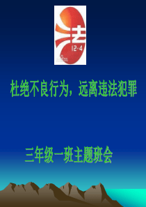 小学生法制教育主题班会ppt课件