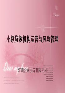 小额贷款机构运营与风险管理