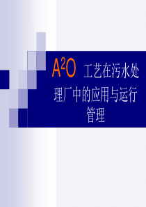 A2O工艺