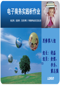 第8组电子商务社会实践总结
