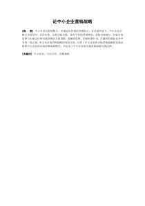 论中小企业营销战略
