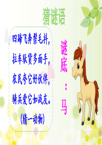 14、小马过河-第一课时