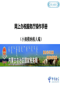 内蒙古国税局网上办税服务厅操作手册(小规模纳税人)