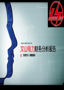 文山电力财务分析报告(四组--终稿)
