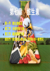 H第七章 维生素