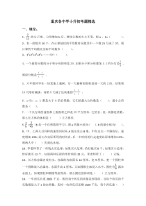 重庆各中学小升初真题精选集锦(一)