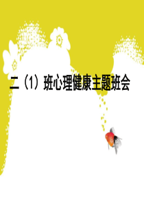 小学生心理健康主题班会课件