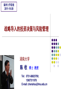 战略导入的投资决策与风险管理(研究思路)-110701