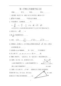 上海市第二学期(七年级)数学期中复习④