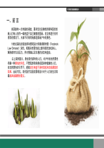 医疗及医院景观设计-医学资料