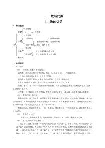 六年级数学复习数与代数1--数的认识知识点