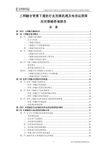 下通信行业发展机遇及电信运营商应对策略咨询报告