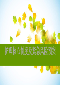 护理核心制度及紧急风险预案
