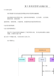 项目实施和指导方法
