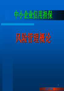 担保机构信用风险管理概论