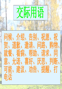 中考英语交际用语复习课件