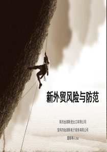 外贸风险防范（PPT54页)