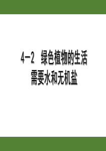 2020年福建中考生物复习主题四生物圈中的绿色植物-第2课时绿色植物的生活需要水和无机盐